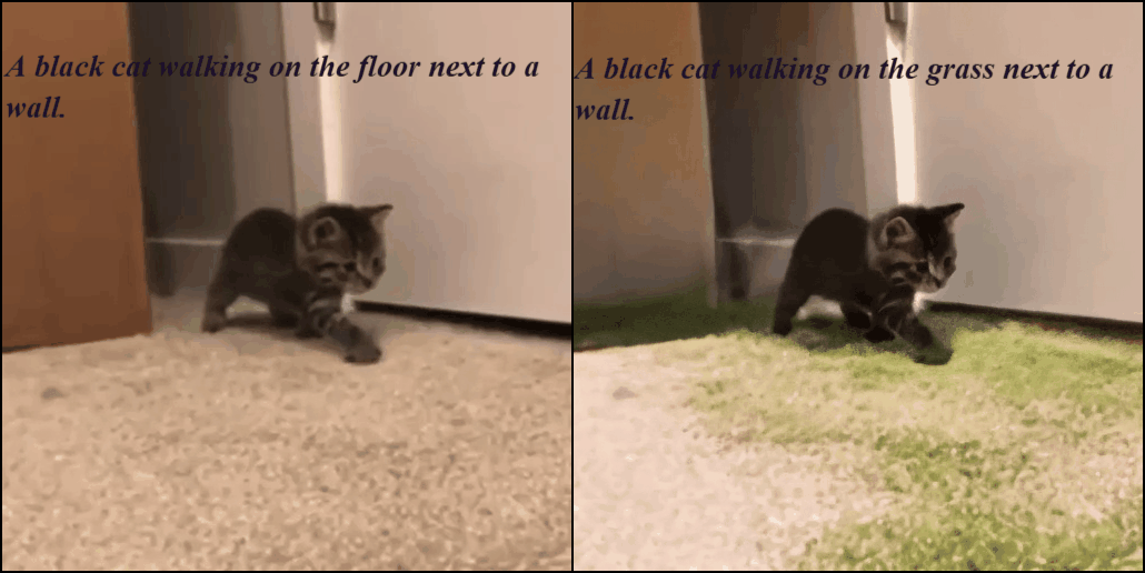 Cat to tiger/leopard in grass variation 2
